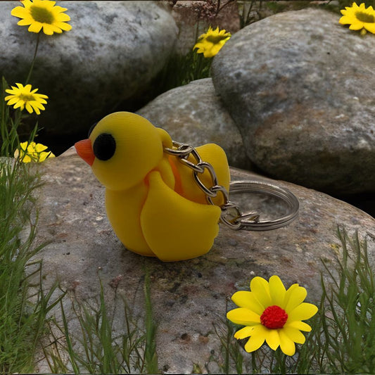 Duck