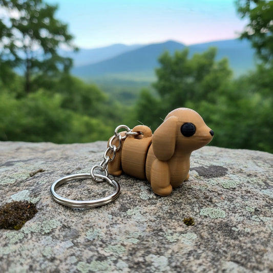 Dachshund