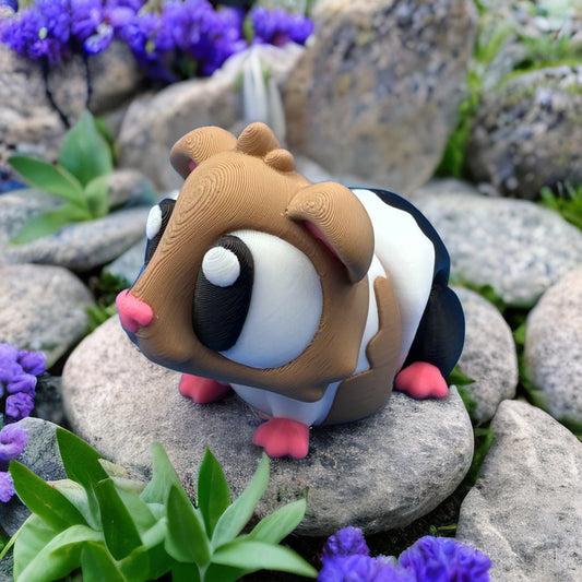 Guinea Pig
