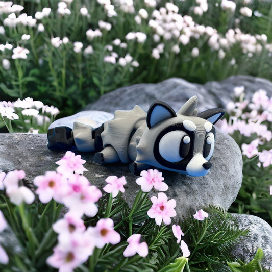 Raccoon
