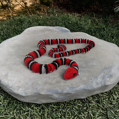 Scarlet King Snake