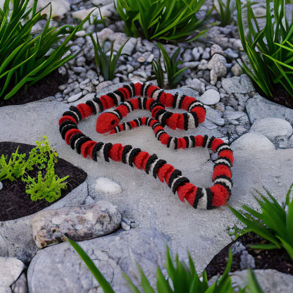 Scarlet King Snake