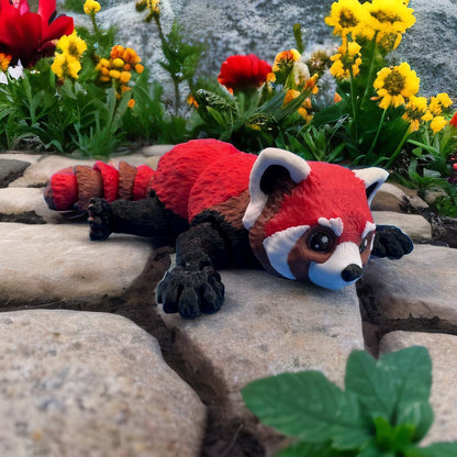 Red Panda
