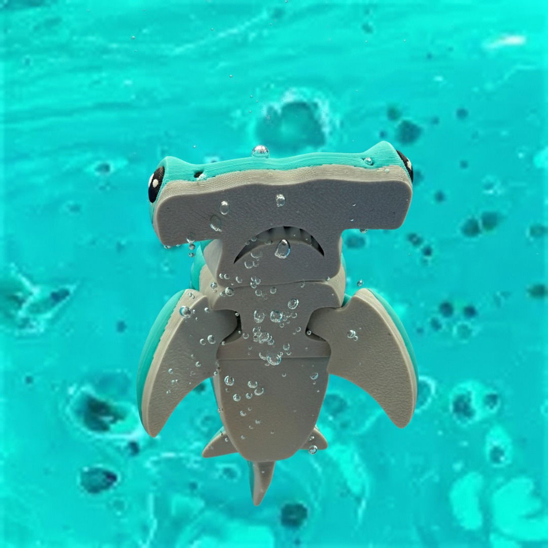 Hammerhead Shark
