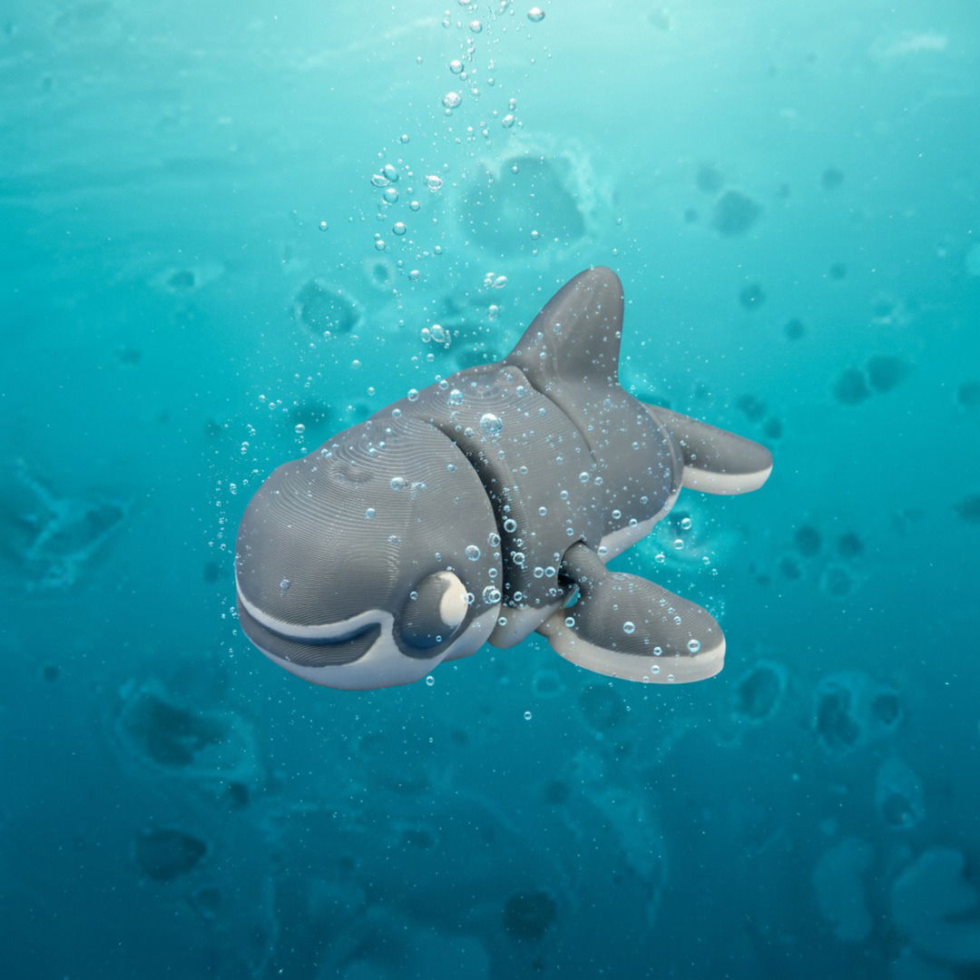 Porpoise